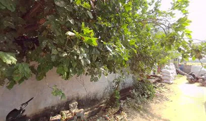 A1 hoom tandur
