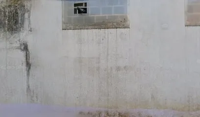 Anyo / G7 International / Heonda Auto/ Ludhiana