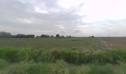 Arbaj