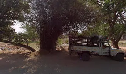 Auto Garage