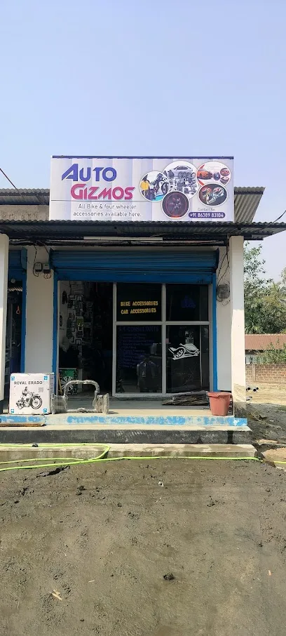 Auto Gizmos