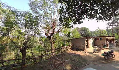 AUTO Poun Raja Sarkar