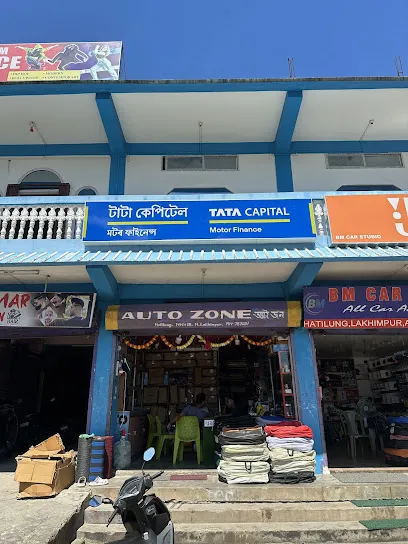Auto Zone Car Decorations
