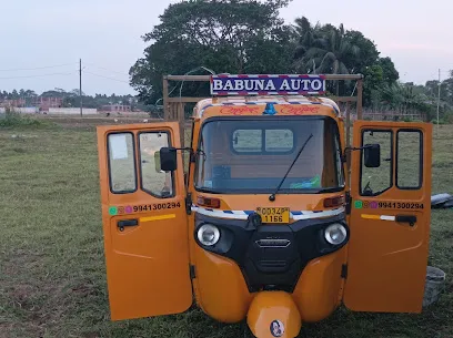 BABUNA AUTO JAJPUR TOWN
