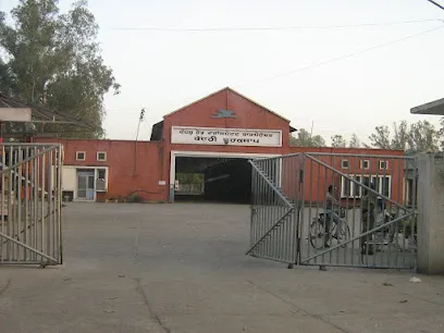 Bagga Motors
