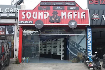 𝗦𝗼𝘂𝗻𝗱 𝗠𝗮𝗳𝗶𝗮 𝗥𝗼𝗵𝘁𝗮𝗸 || Best Car Speaker Dealer | High End Audio Car Speaker Dealer In Rohtak