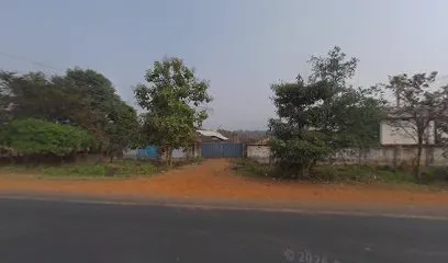 Blue point car service