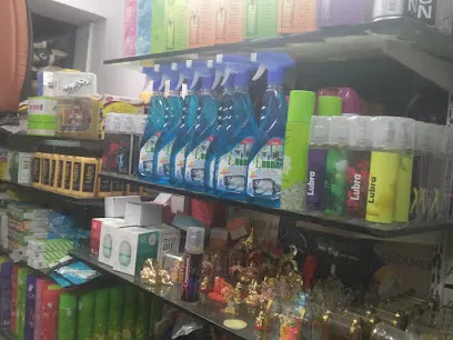 Daksh car decor