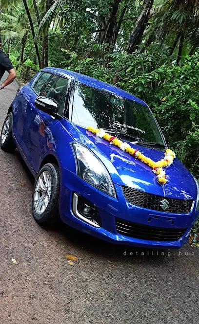 detailing.hub (automotive spray paint / dent / polish / lights / audio / accessories)