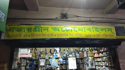 Evergreen Automobiles
