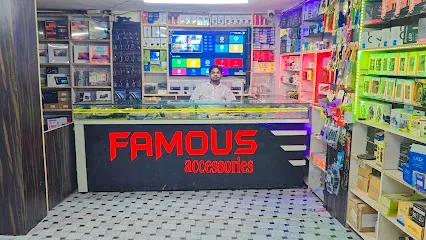Famous Car Accessories