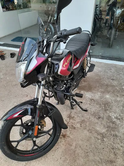 gir motors