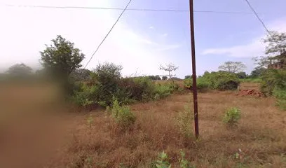GOSAVI AUTOMOBILE