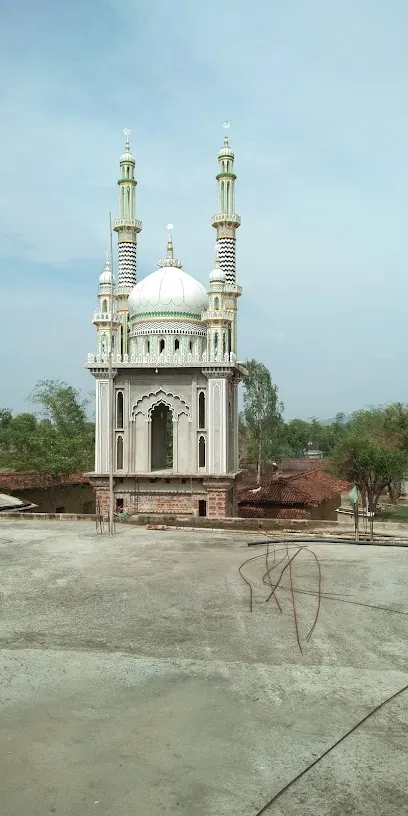 Habib Nagar