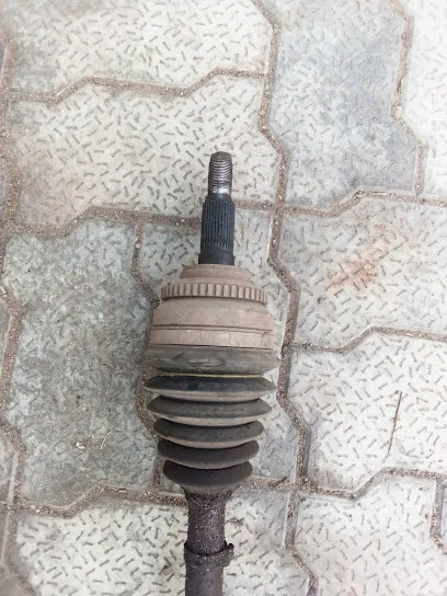 Kesari Nandan chotila