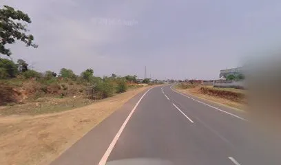 Korea Car Shringar