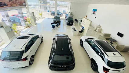 Navjivan Hyundai Chikhali