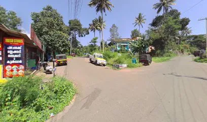 New Tech Automobiles
