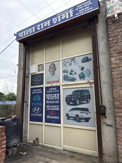 Pala disposal store