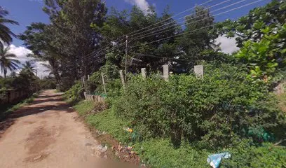 Parveez Garage