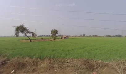 Patidar Tractor Parts