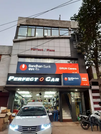 Perfect Car