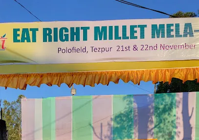 Polo Field Road, Tezpur