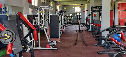 Pro fitness