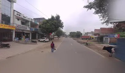 Purnagiri car shringar