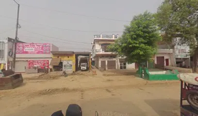 Shan Car Shringar