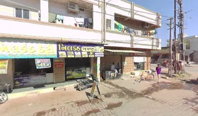 Shreenathaji Sit cover
