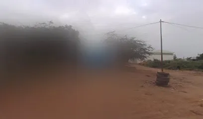 Tesla auto electrical