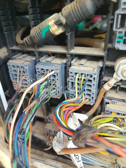 AN auto electrical work all round vehicle
