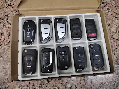 Car Mechanic and car electric