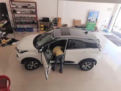Crazy Car Decor