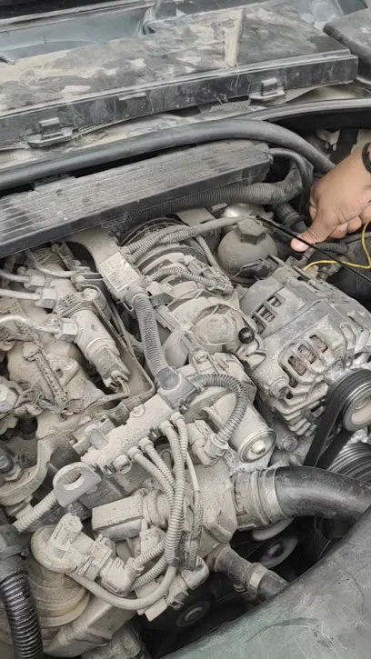 DHiman Auto Electrician Works🚛🚘🚙