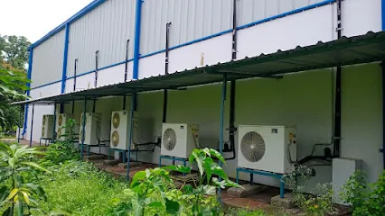 Evergreen Cool Services