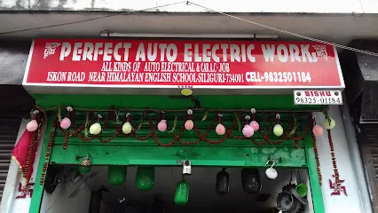 Perfect Auto Electric Works