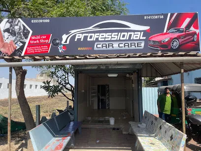Professional Car Care