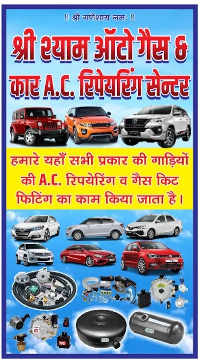 Shree shyam auto gas & car a.c. repairing center