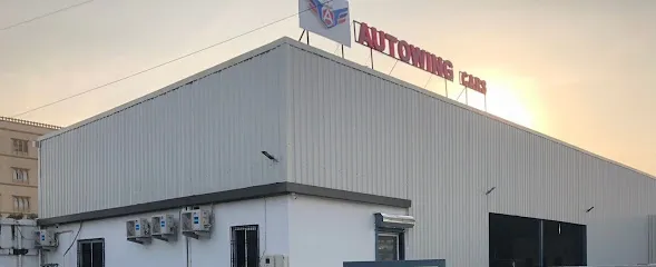 Autowing Cars