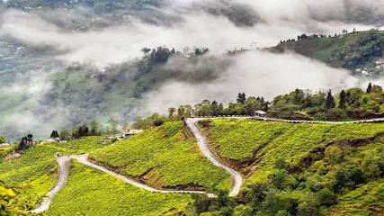 Darjeeling Sikkim Cab Service