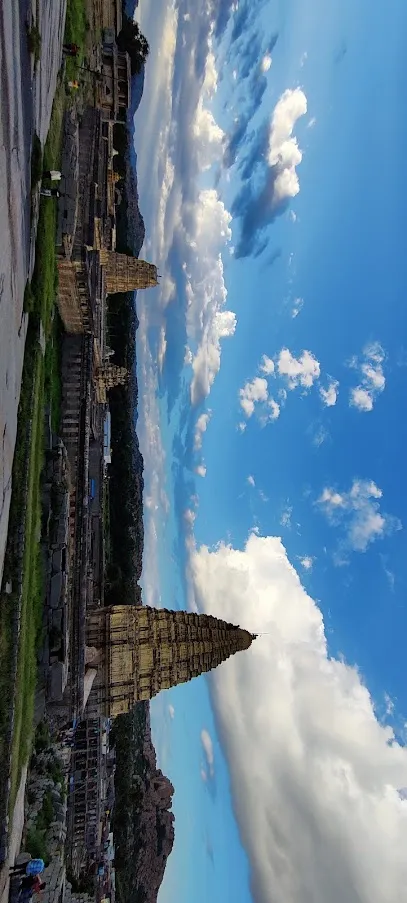 Hampi Auto Rickshaw