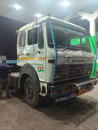 Hindustan auto electrician