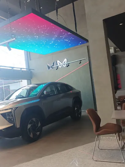 Mahindra Sales And Service
