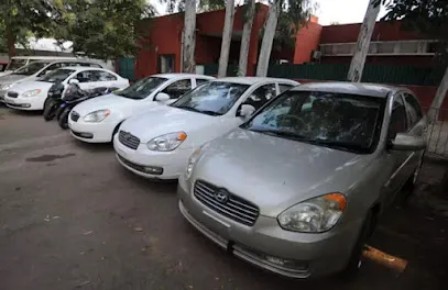 SD self drive car