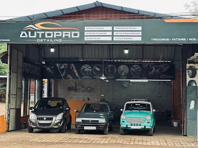 AUTO PRO Detailing