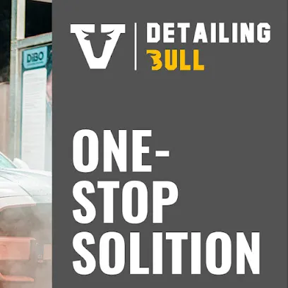 Detailing Bull Udaipur