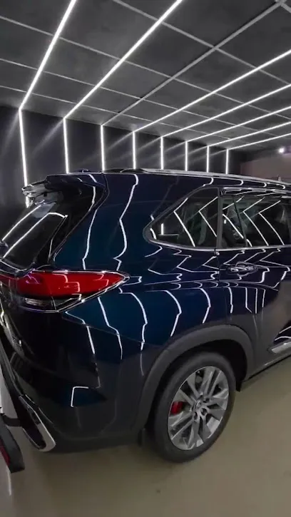 DETAILING PRO