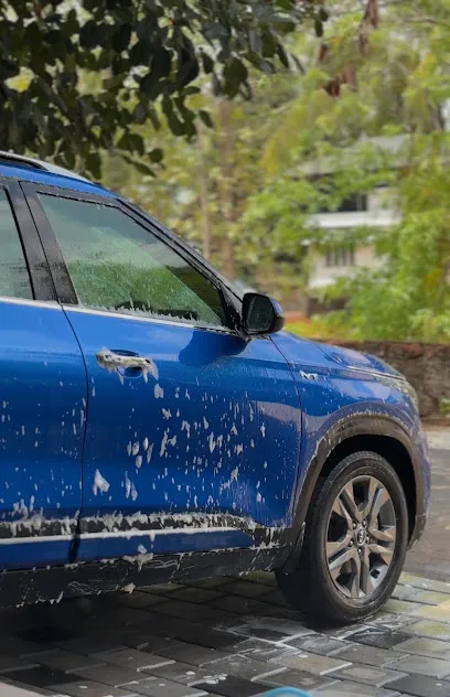 Foam Gun Doorstep Car Wash